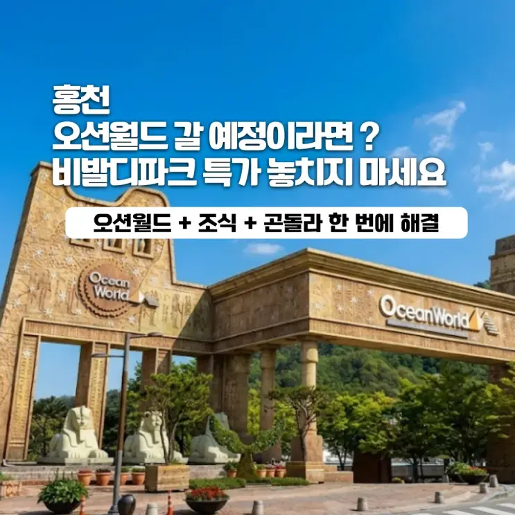 [Hongcheon] Planning a trip to Ocean World? Don't miss the Sono Calm Vivaldi Park special! (Ocean World + Breakfast + Gondola all in one)