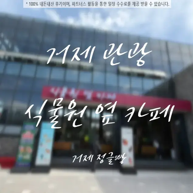 巨済植物園隣のカフェ「ジャングルパン」正直レビュー|芸能人RIIZEも訪問
