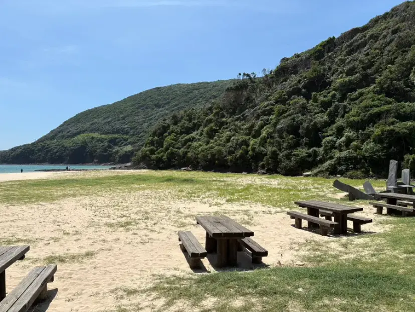 A scenic road in Tsushima, Japan, with a car driving on the left side of the road.