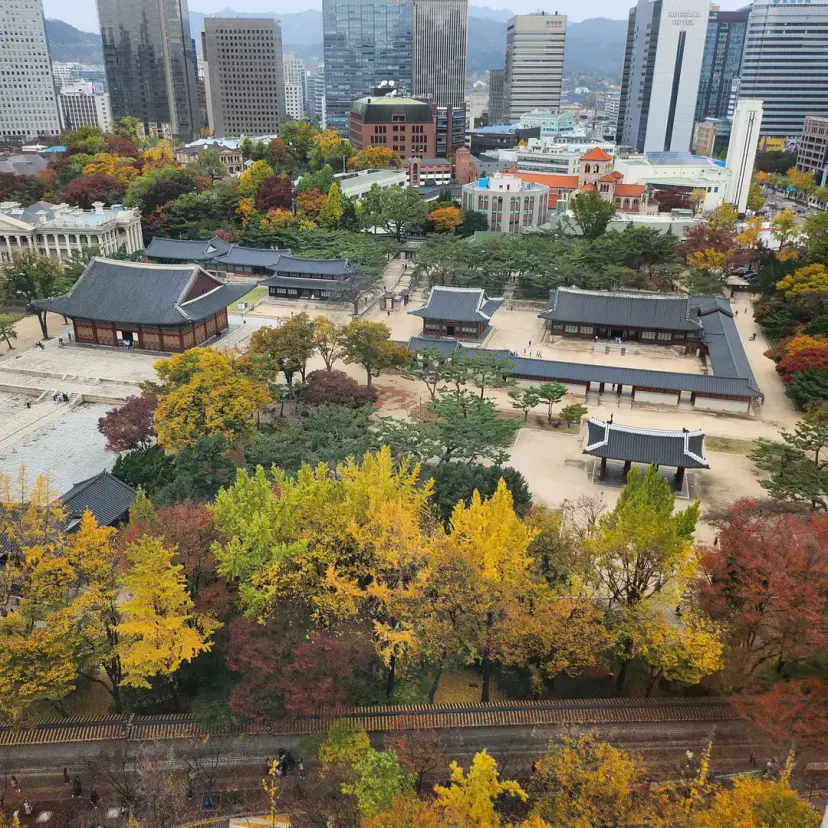 정동전망대에서 본 덕수궁뷰