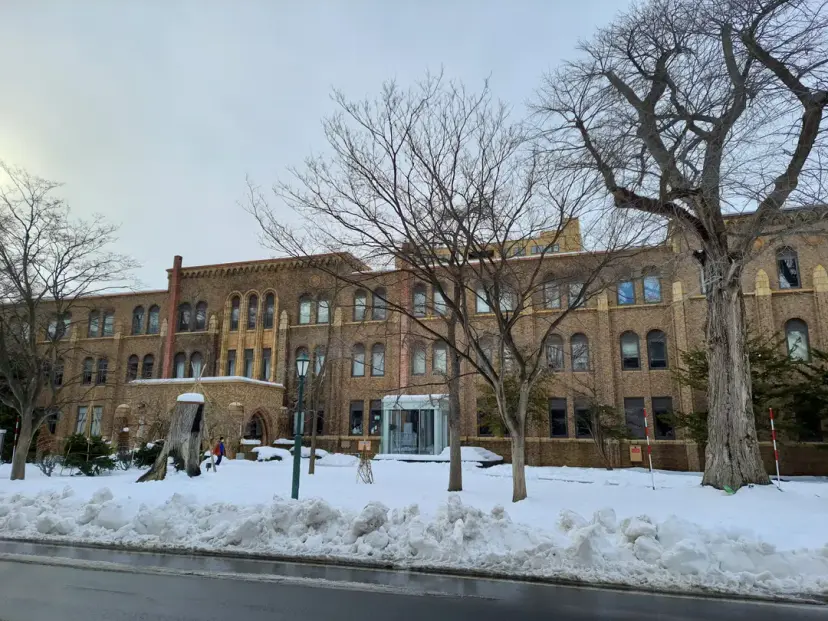 北海道大学のキャンパス風景