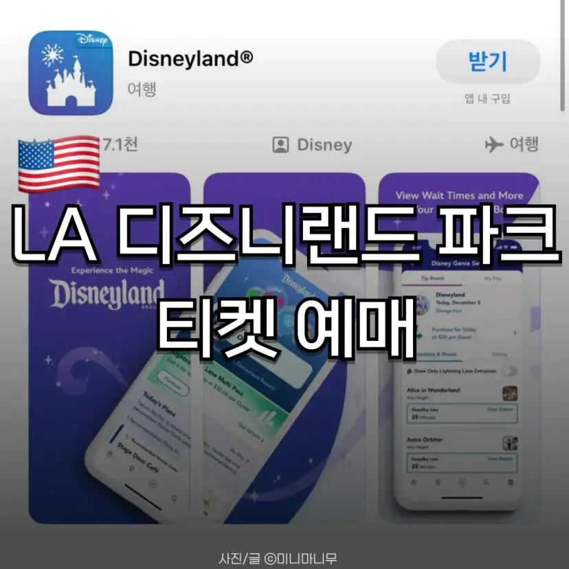 Disneyland LA
