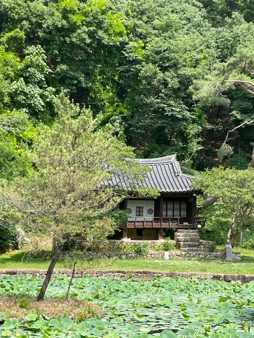 連綿的蓮花池與古色古香的亭閣,安東體和亭的迷人風光