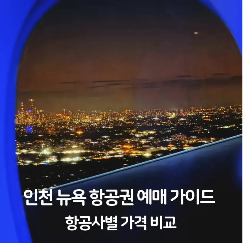 뉴욕 JFK 공항 도착 직전 바라본 맨해튼 전경