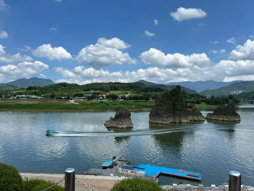 Danyang Dodam Sambong