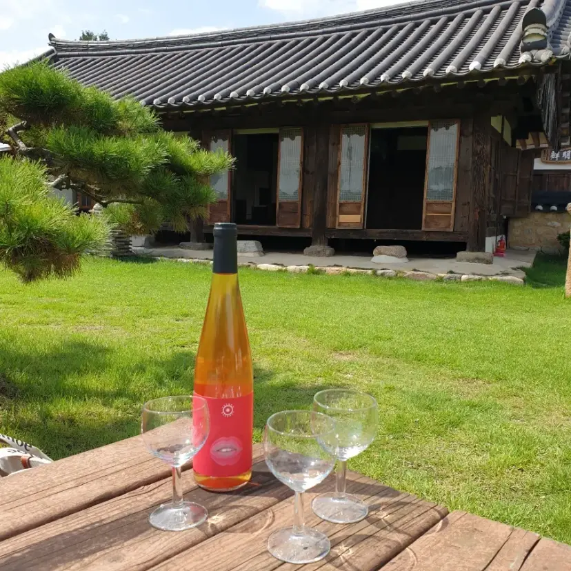 慶州忠義堂韓屋庭院景觀