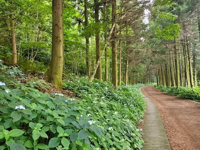 拒文岳步道