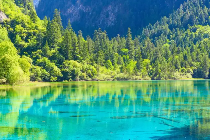 Jiuzhaigou Ticket Discounts, Operating Hours, Reviews [2026] | Trip.com
