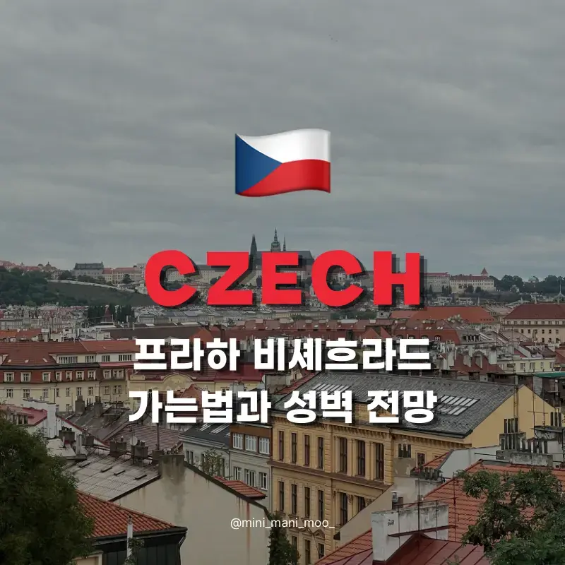 Vyšehrad fortress walls and Prague cityscape