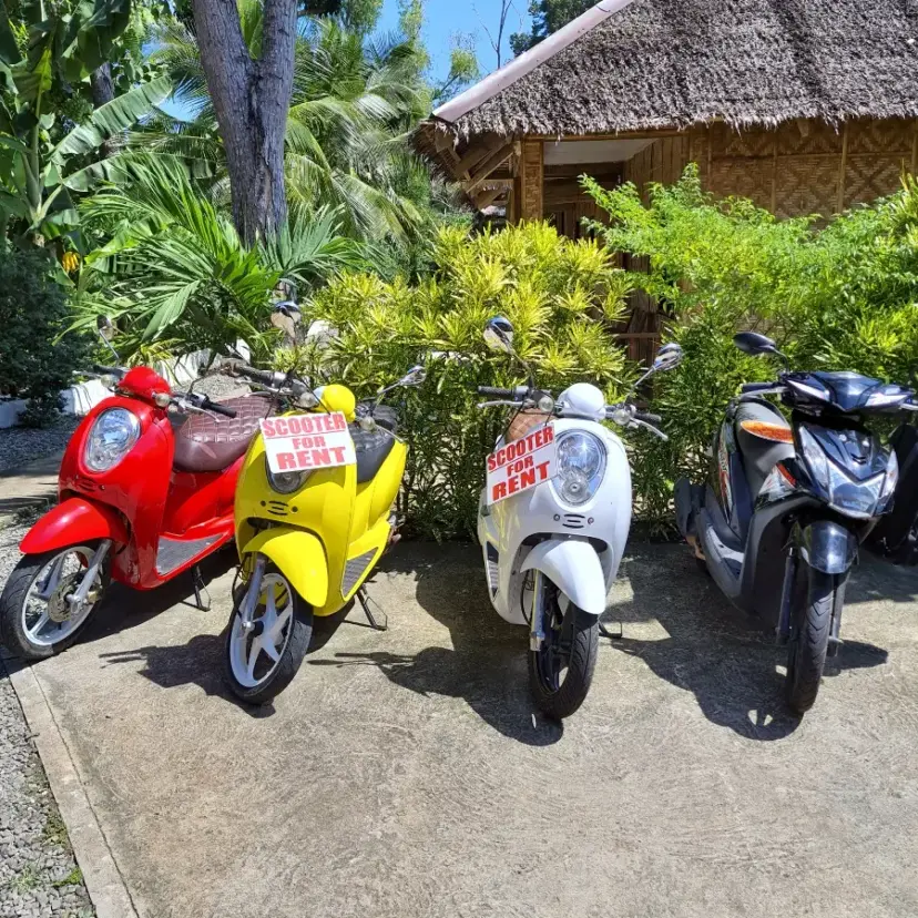 薄荷島機車出租選擇