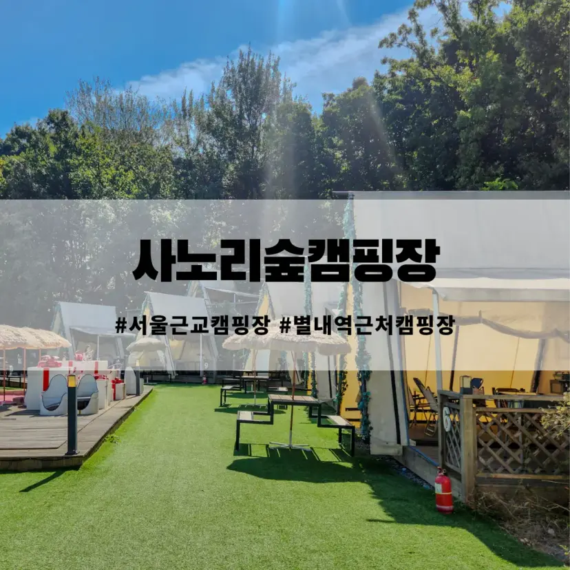 Sanori Forest Camping